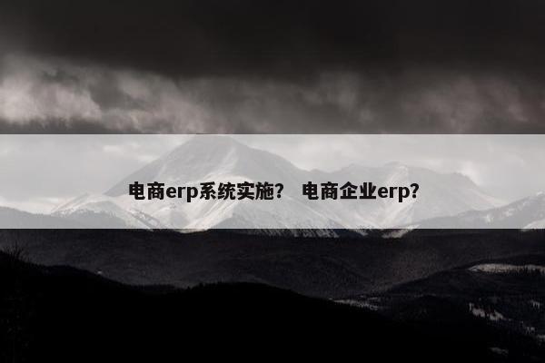 电商erp系统实施? 电商企业erp?