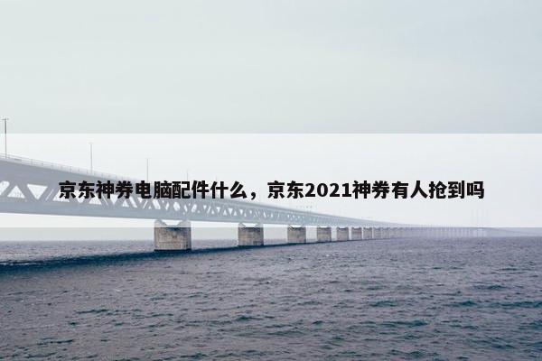 京东神券电脑配件什么，京东2021神券有人抢到吗