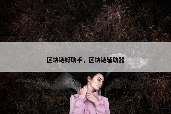 区块链好助手，区块链辅助器