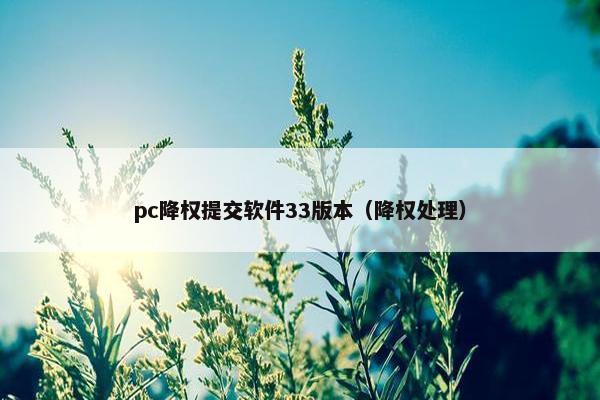 pc降权提交软件33版本(降权处理)