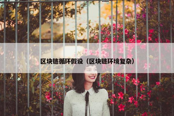 区块链循环假设(区块链环境复杂)