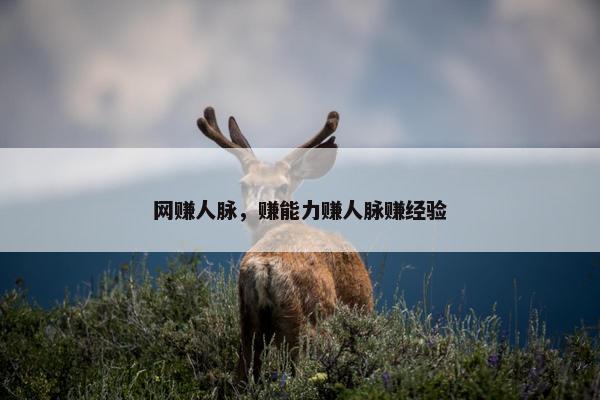 网赚人脉,赚能力赚人脉赚经验