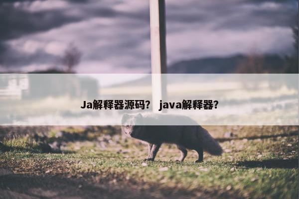 Ja解释器源码? java解释器? Ja解释器源码? java解释器?