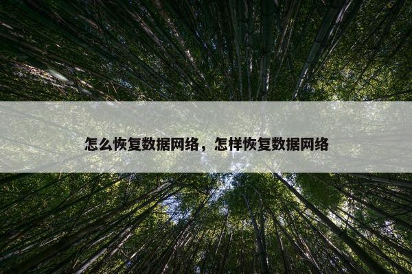 怎么恢复数据网络,怎样恢复数据网络