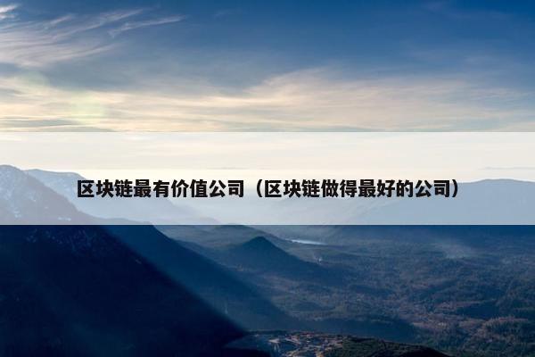 区块链最有价值公司（区块链做得最好的公司）