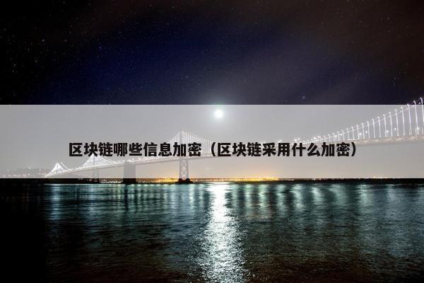 区块链哪些信息加密(区块链采用什么加密)