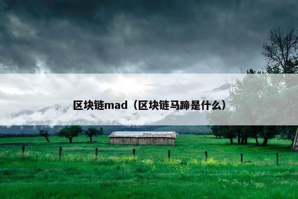 区块链mad（区块链马蹄是什么）