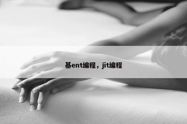 基ent编程,jit编程 基ent编程,jit编程