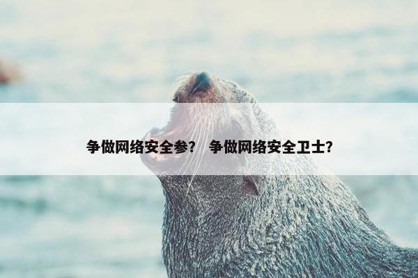 争做网络安全参? 争做网络安全卫士?
