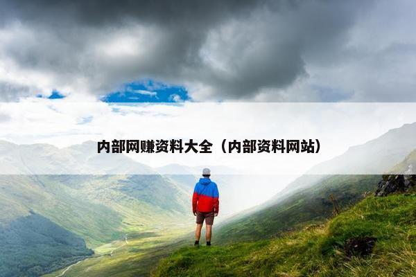 内部网赚资料大全(内部资料网站)