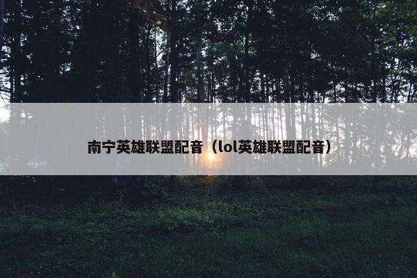 南宁英雄联盟配音(lol英雄联盟配音)