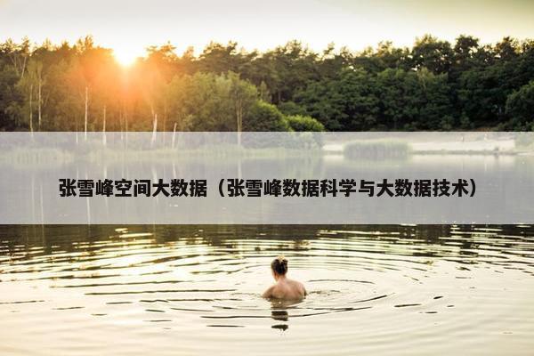 张雪峰空间大数据（张雪峰数据科学与大数据技术）