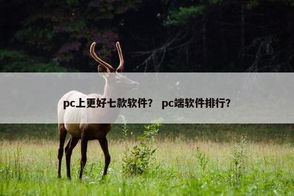 pc上更好七款软件？ pc端软件排行？