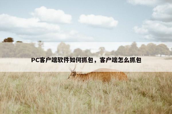 PC客户端软件如何抓包，客户端怎么抓包