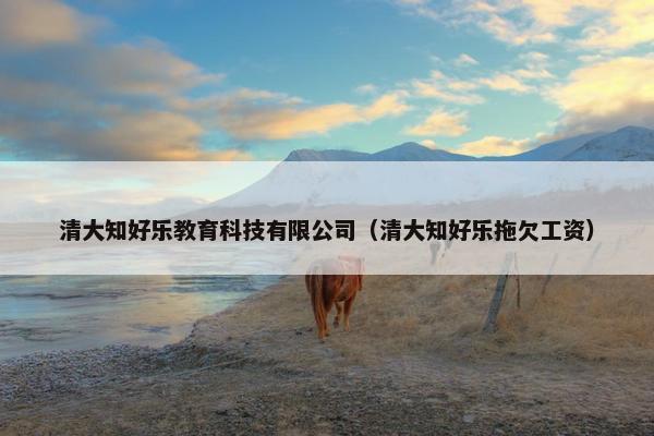 清大知好乐教育科技有限公司（清大知好乐拖欠工资）
