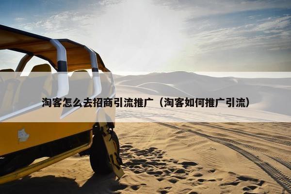 淘客怎么去招商引流推广（淘客如何推广引流）