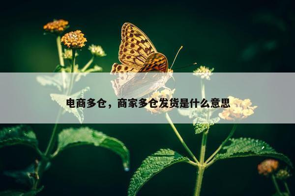 电商多仓，商家多仓发货是什么意思
