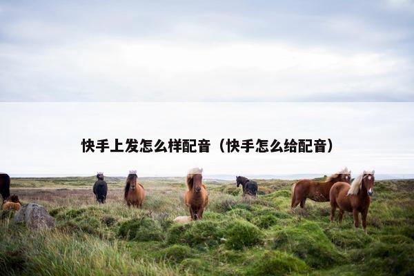 快手上发怎么样配音（快手怎么给配音）