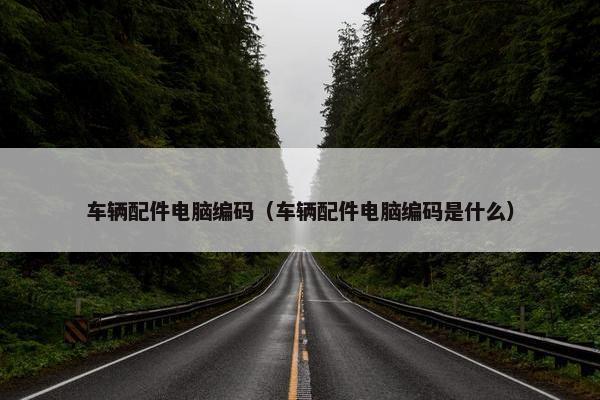 车辆配件电脑编码（车辆配件电脑编码是什么）