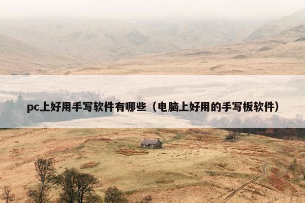 pc上好用手写软件有哪些（电脑上好用的手写板软件）