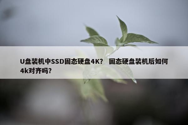 U盘装机中SSD固态硬盘4K？ 固态硬盘装机后如何4k对齐吗？