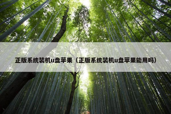 正版系统装机u盘苹果（正版系统装机u盘苹果能用吗）
