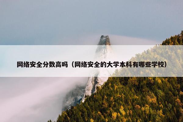 网络安全分数高吗（网络安全的大学本科有哪些学校）