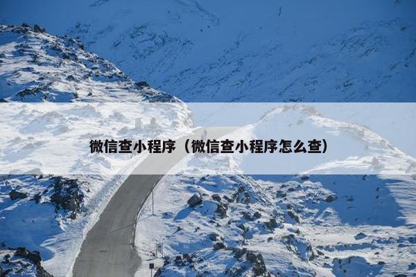 微信查小程序（微信查小程序怎么查）