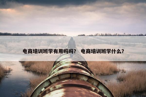 电商培训班学有用吗吗? 电商培训班学什么? 电商培训班学有用吗吗? 电商培训班学什么?