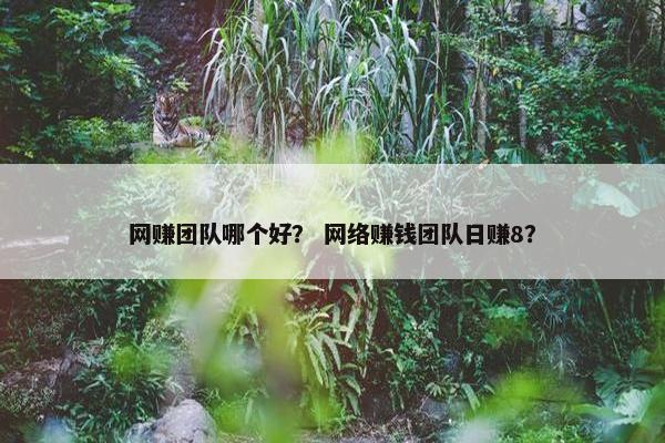 网赚团队哪个好? 网络赚钱团队日赚8? 网赚团队哪个好? 网络赚钱团队日赚8?