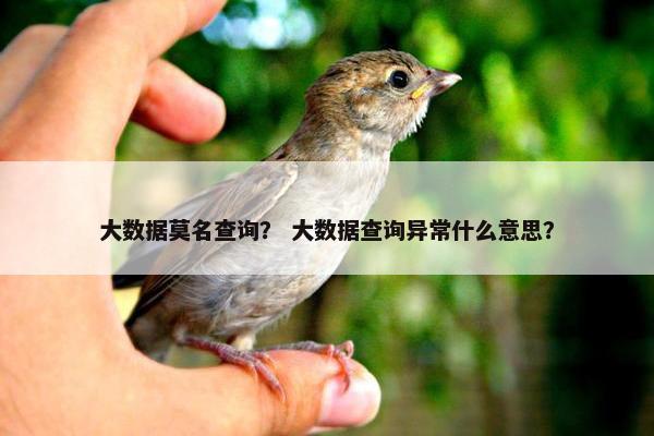 大数据莫名查询? 大数据查询异常什么意思?