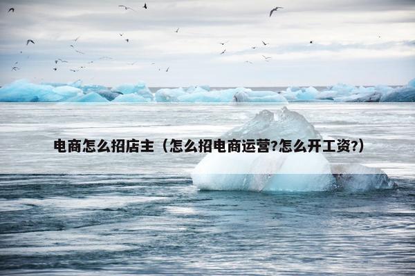 电商怎么招店主（怎么招电商运营?怎么开工资?）
