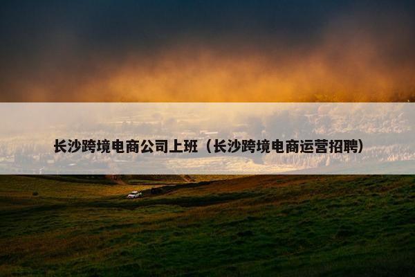 长沙跨境电商公司上班（长沙跨境电商运营招聘）