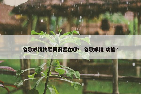 谷歌眼镜物联网设置在哪？ 谷歌眼镜 功能？