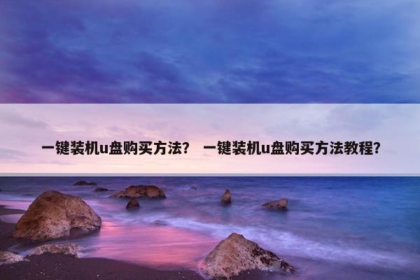 一键装机u盘购买方法？ 一键装机u盘购买方法教程？