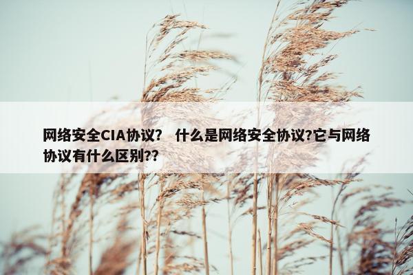 网络安全CIA协议？ 什么是网络安全协议?它与网络协议有什么区别?？