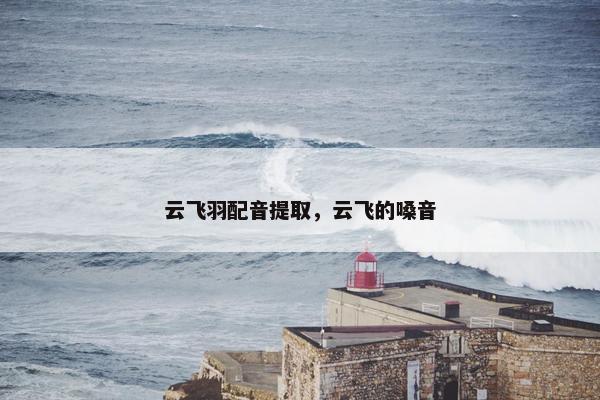 云飞羽配音提取，云飞的嗓音