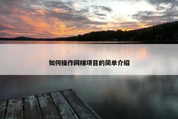 如何操作网赚项目的简单介绍