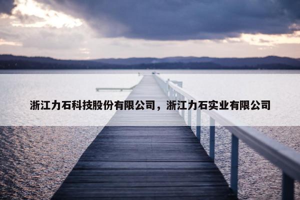 浙江力石科技股份有限公司，浙江力石实业有限公司