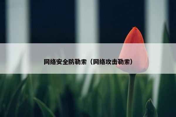 网络安全防勒索（网络攻击勒索）