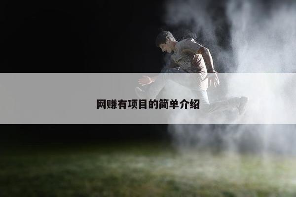 网赚有项目的简单介绍