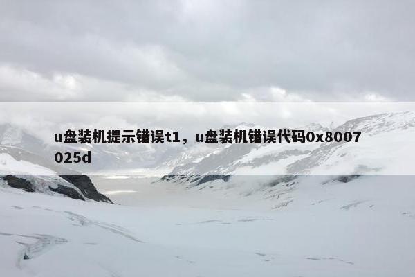 u盘装机提示错误t1，u盘装机错误代码0x8007025d