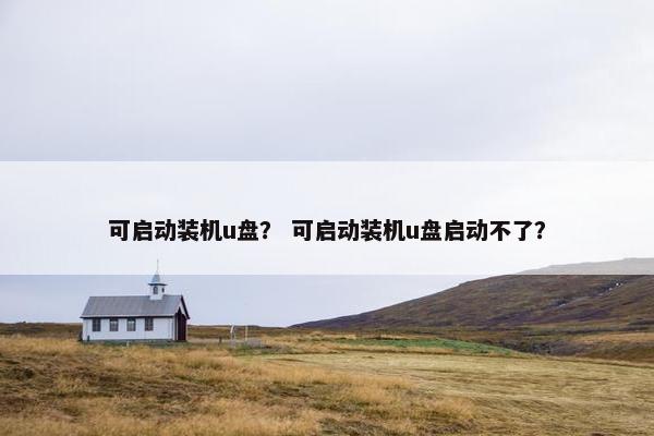 可启动装机u盘? 可启动装机u盘启动不了?