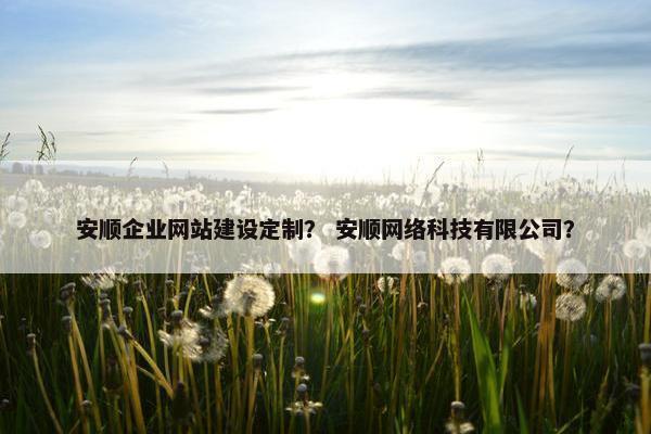安顺企业网站建设定制？ 安顺网络科技有限公司？