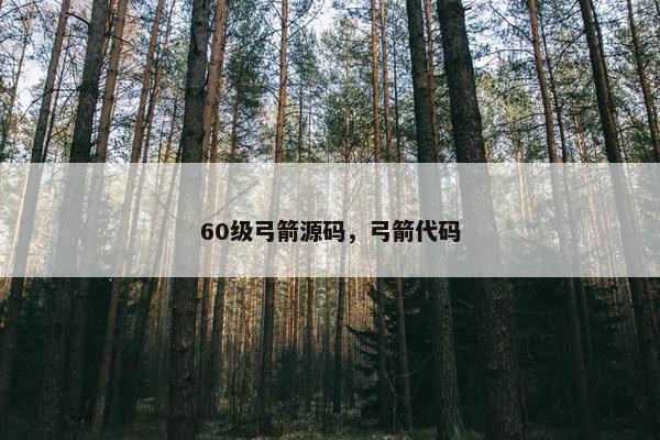 60级弓箭源码,弓箭代码