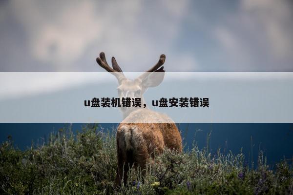 u盘装机错误,u盘安装错误