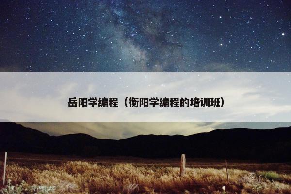 岳阳学编程（衡阳学编程的培训班）