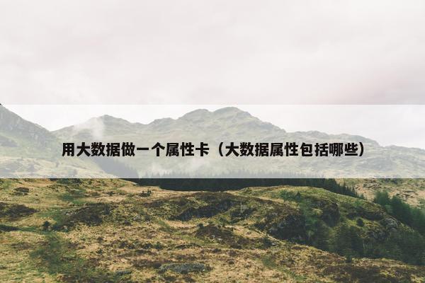 用大数据做一个属性卡（大数据属性包括哪些）