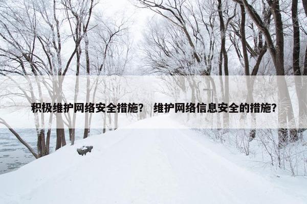 积极维护网络安全措施？ 维护网络信息安全的措施？