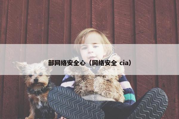 部网络安全心（网络安全 cia）
